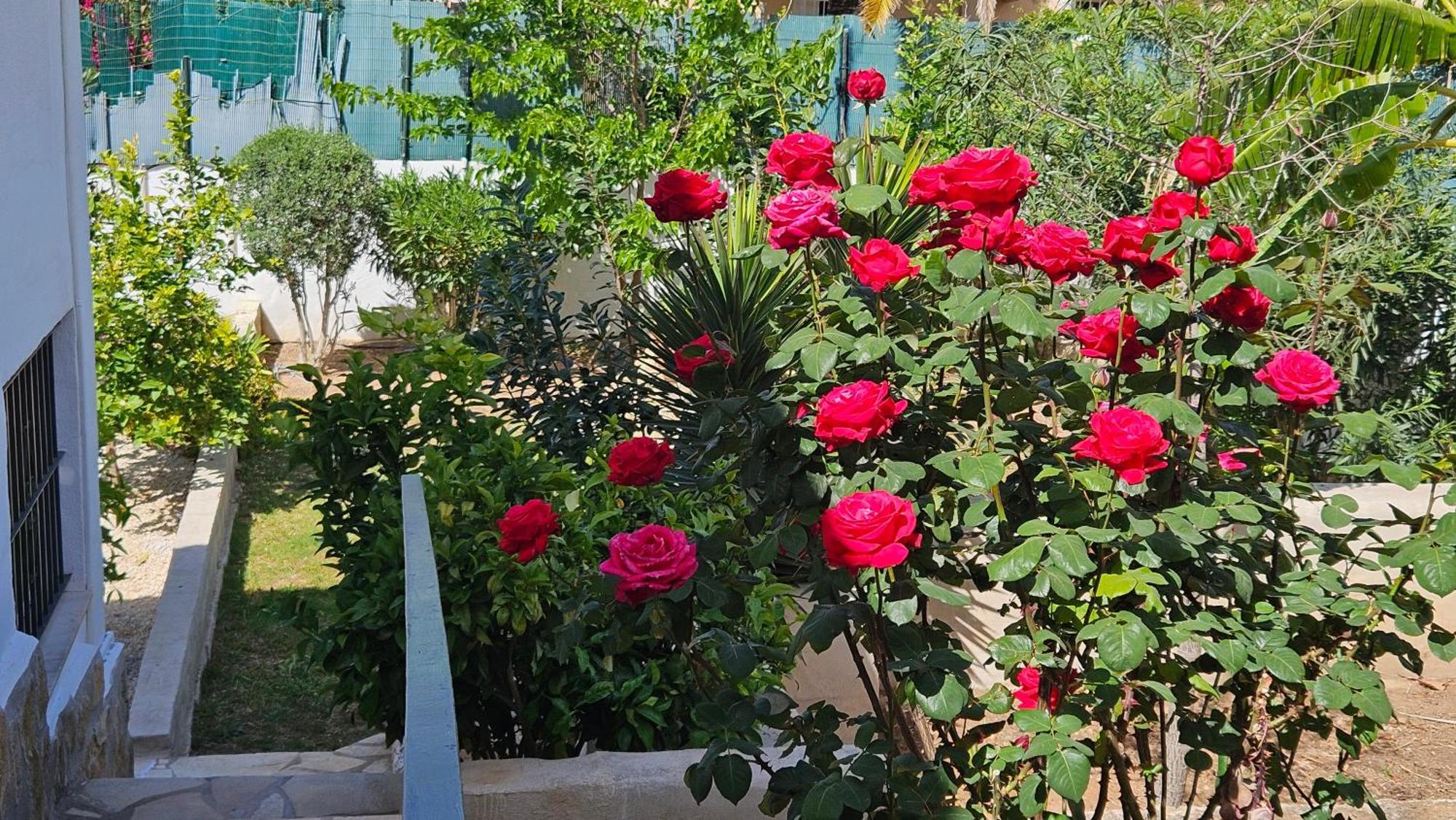 Vila Altomira Denia Exteriér fotografie